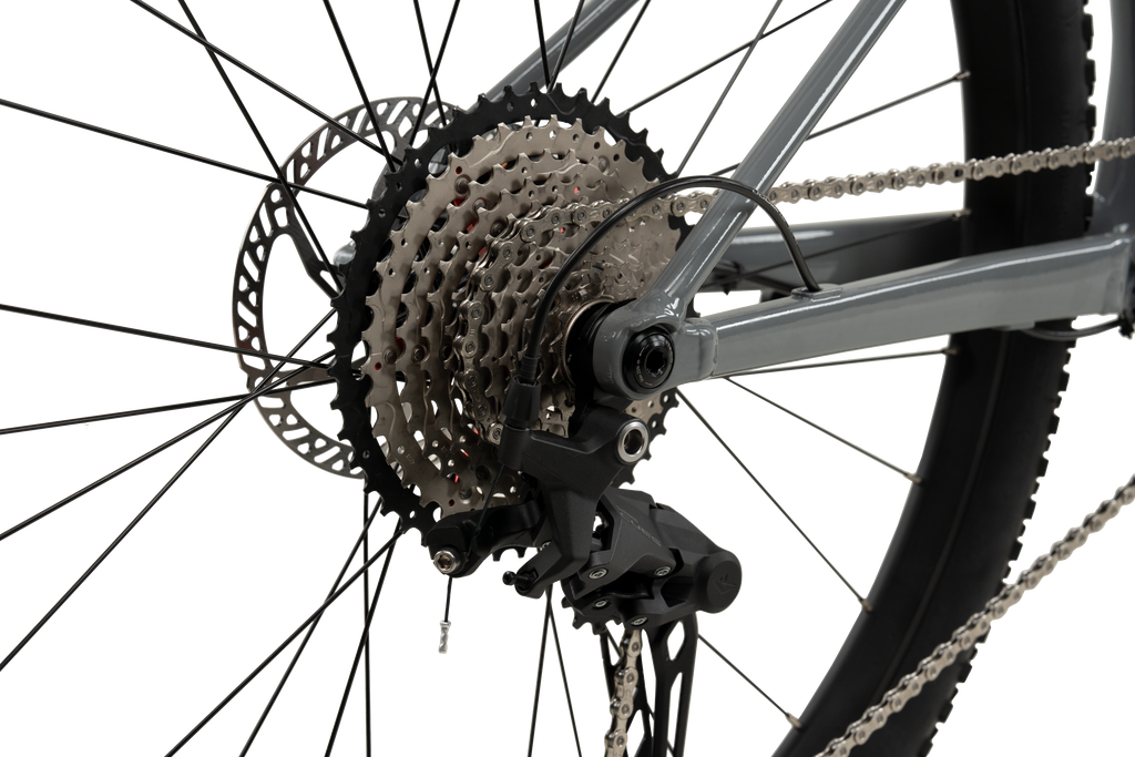 XDS X-LAB MT2