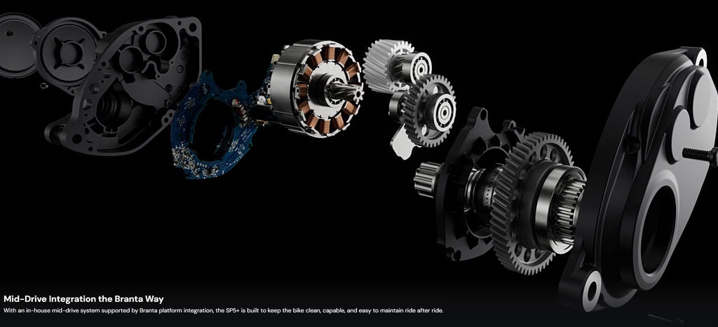 XDS X-LAB SP5